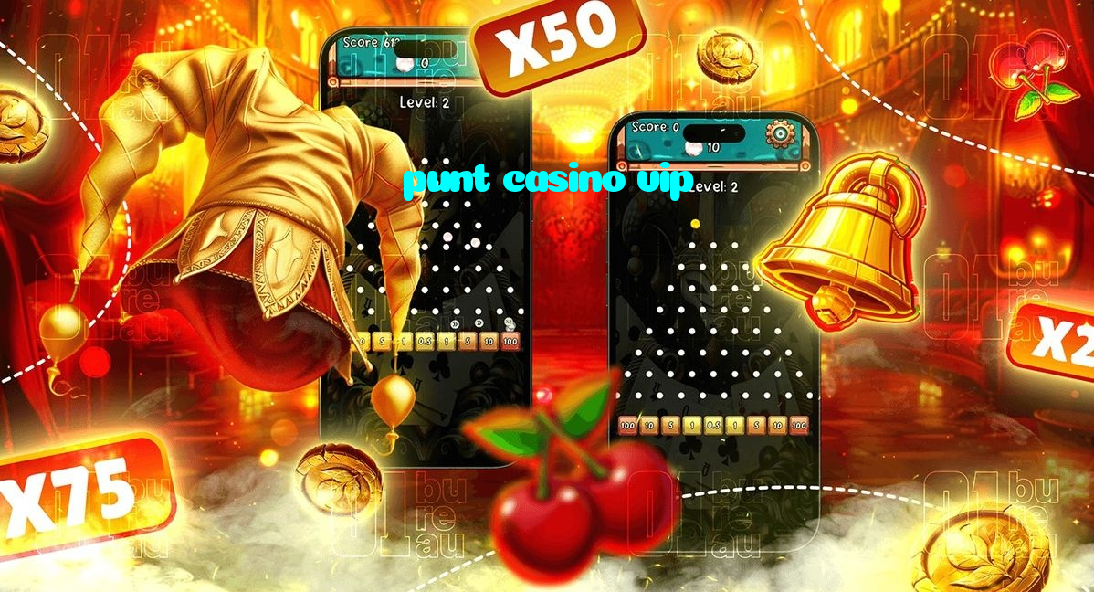 punt casino vip